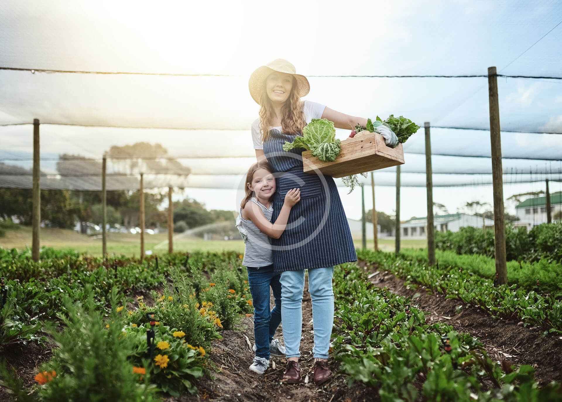 Healthy farm
